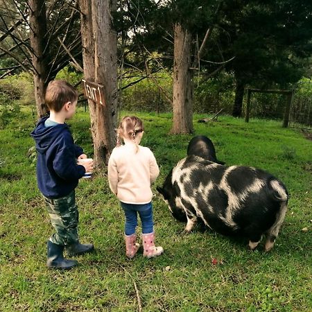 克尼斯纳Fernhill Guest Farm别墅 外观 照片