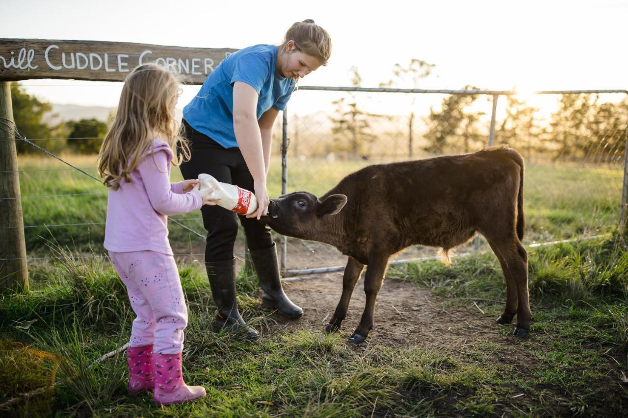 克尼斯纳Fernhill Guest Farm别墅 外观 照片