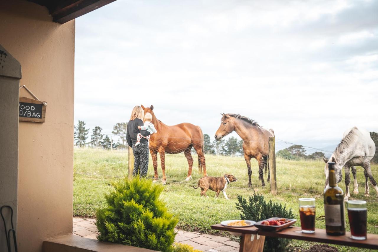 克尼斯纳Fernhill Guest Farm别墅 外观 照片