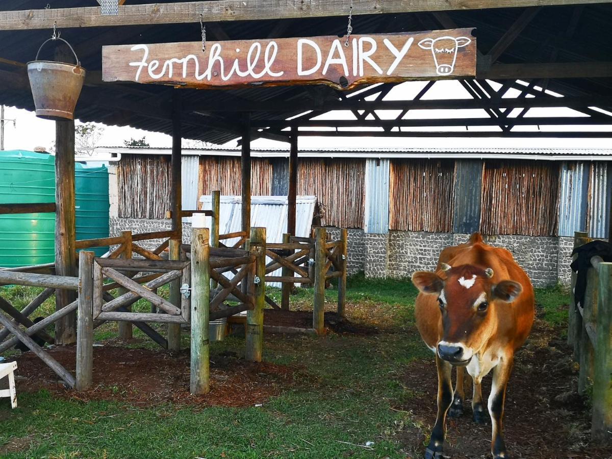 克尼斯纳Fernhill Guest Farm别墅 外观 照片