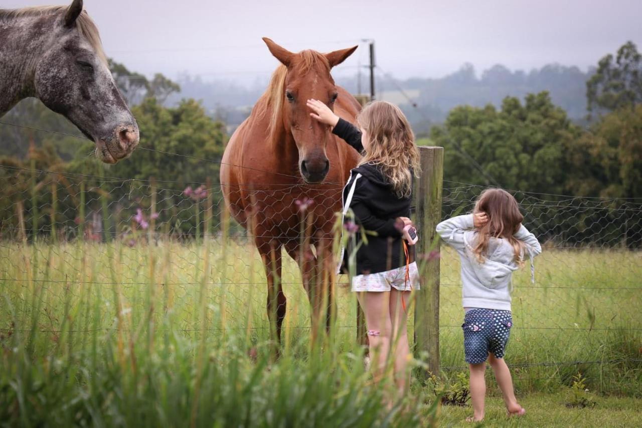克尼斯纳Fernhill Guest Farm别墅 外观 照片