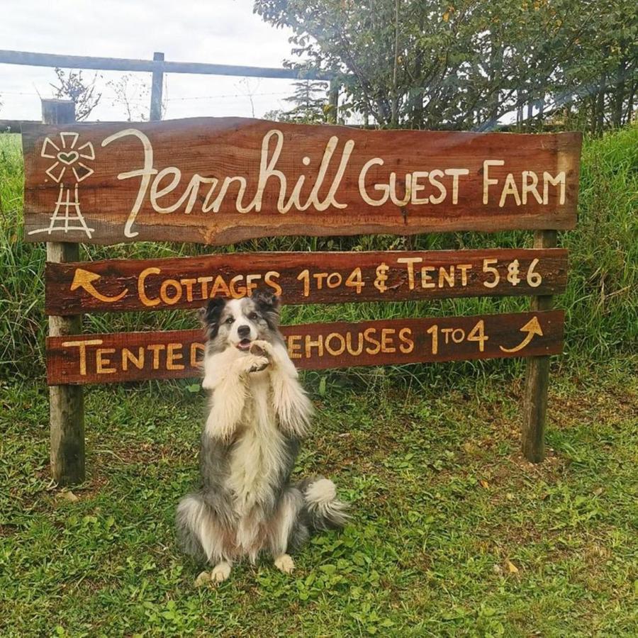 克尼斯纳Fernhill Guest Farm别墅 外观 照片