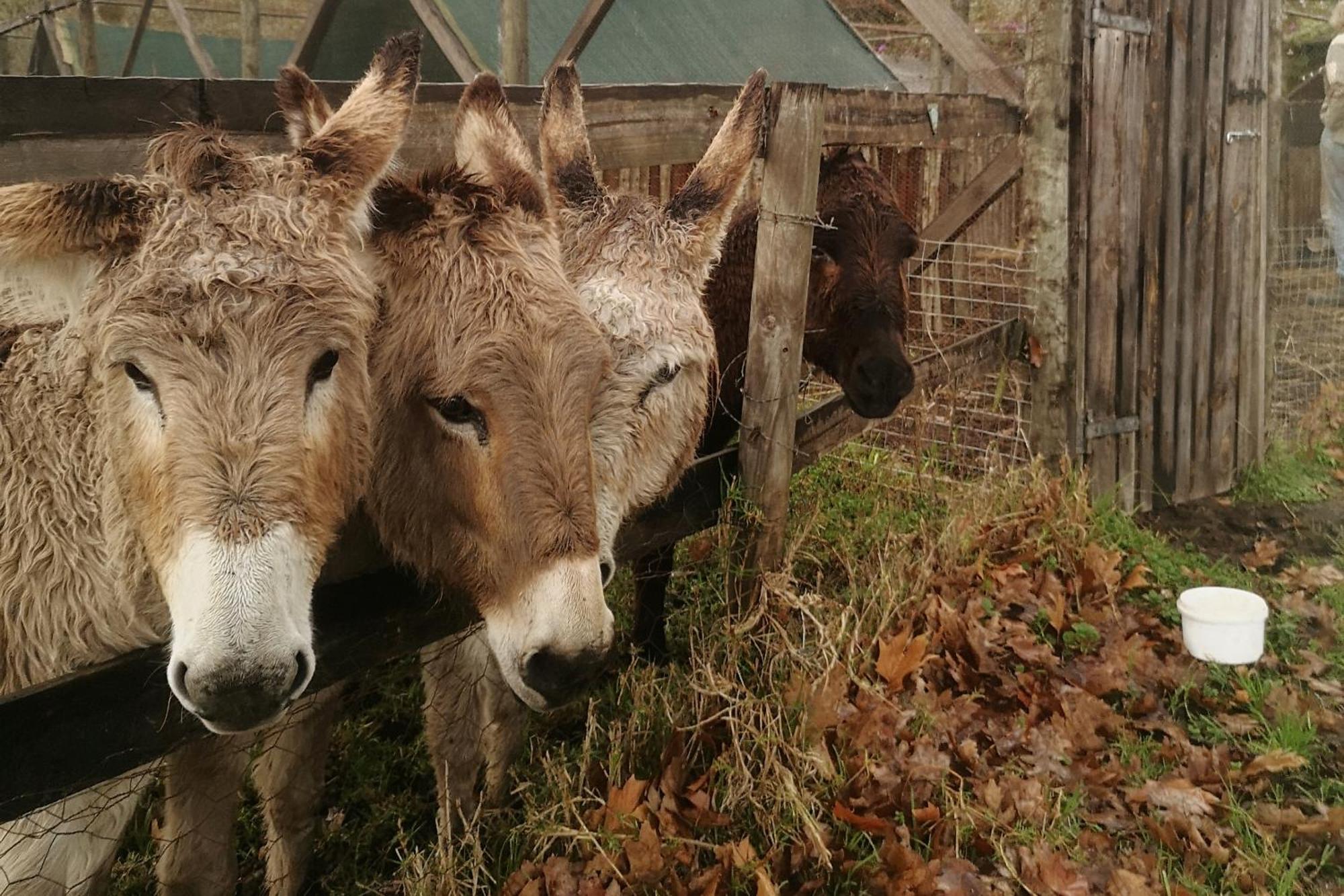 克尼斯纳Fernhill Guest Farm别墅 外观 照片
