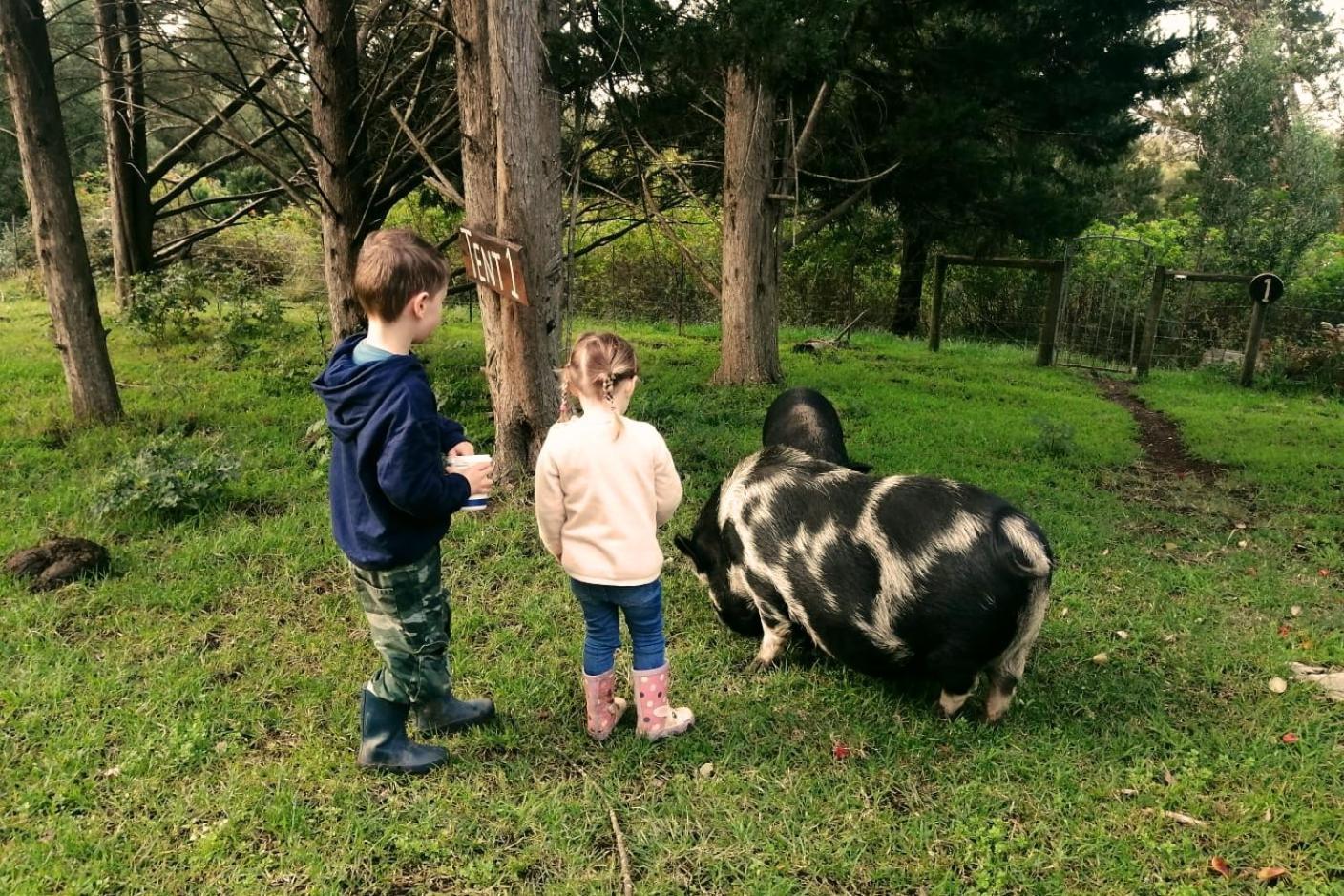 克尼斯纳Fernhill Guest Farm别墅 外观 照片